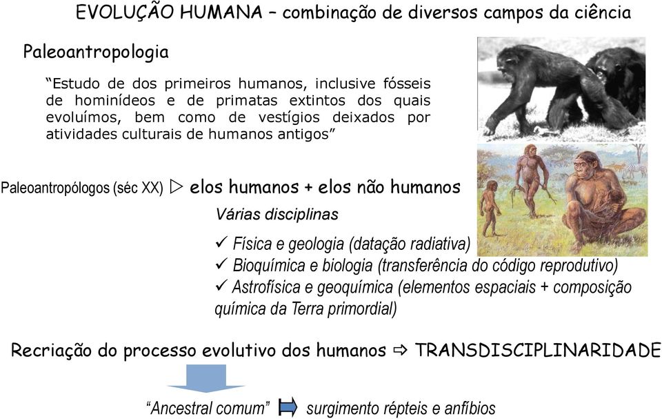 humanos Várias disciplinas Física e geologia (datação radiativa) Bioquímica e biologia (transferência do código reprodutivo) Astrofísica e geoquímica