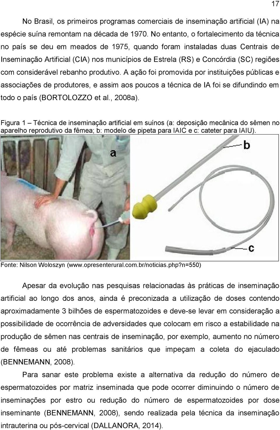 com considerável rebanho produtivo. A ação foi promovida por instituições públicas e associações de produtores, e assim aos poucos a técnica de IA foi se difundindo em todo o país (BORTOLOZZO et al.