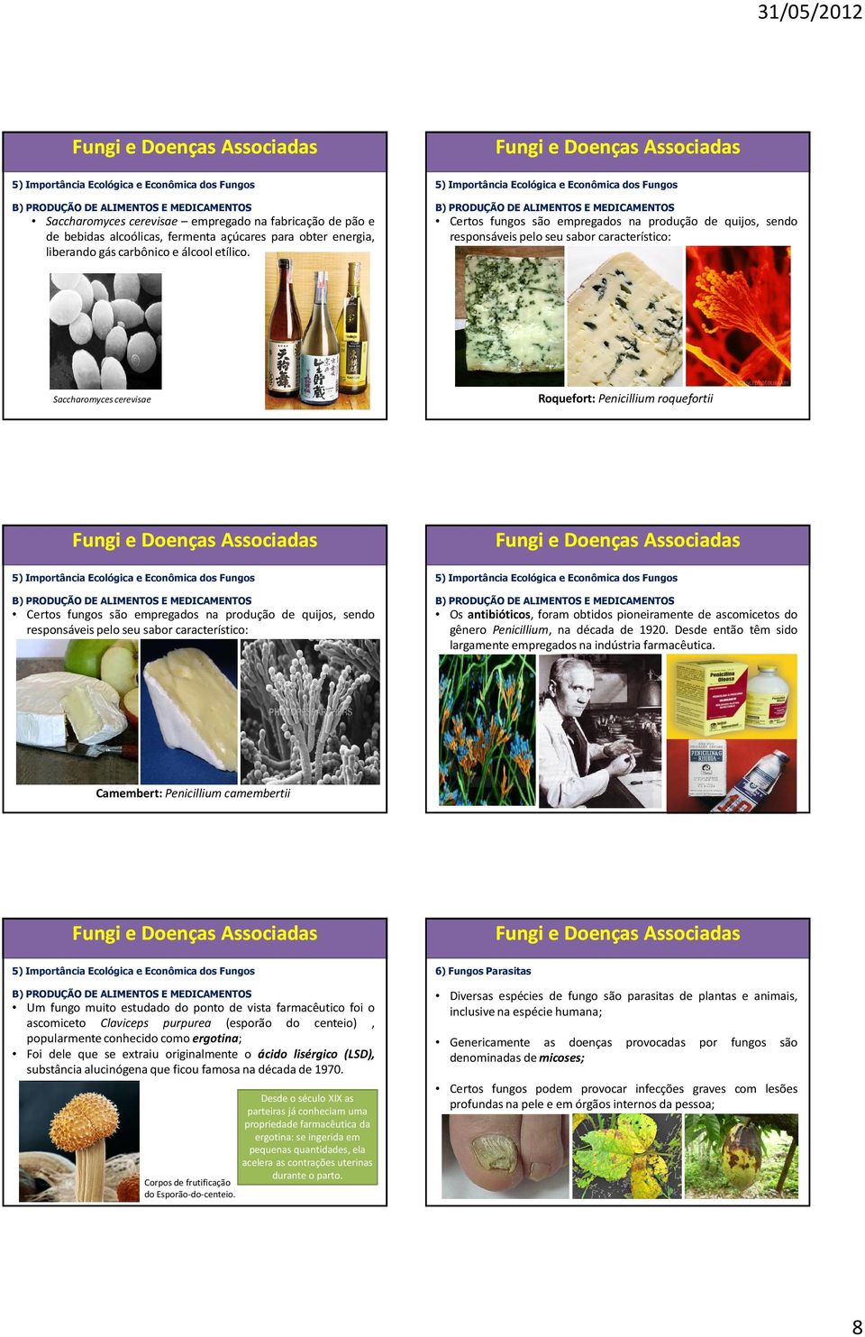 produção de quijos, sendo responsáveis pelo seu sabor característico: Os antibióticos, foram obtidos pioneiramente de ascomicetos do gênero Penicillium, na década de 1920.