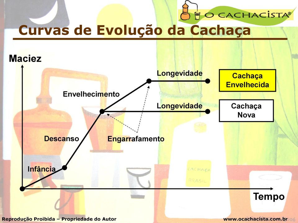 Longevidade Cachaça Envelhecida