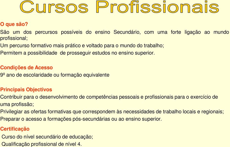 Permitem a possibilidade de prosseguir estudos no ensino superior.