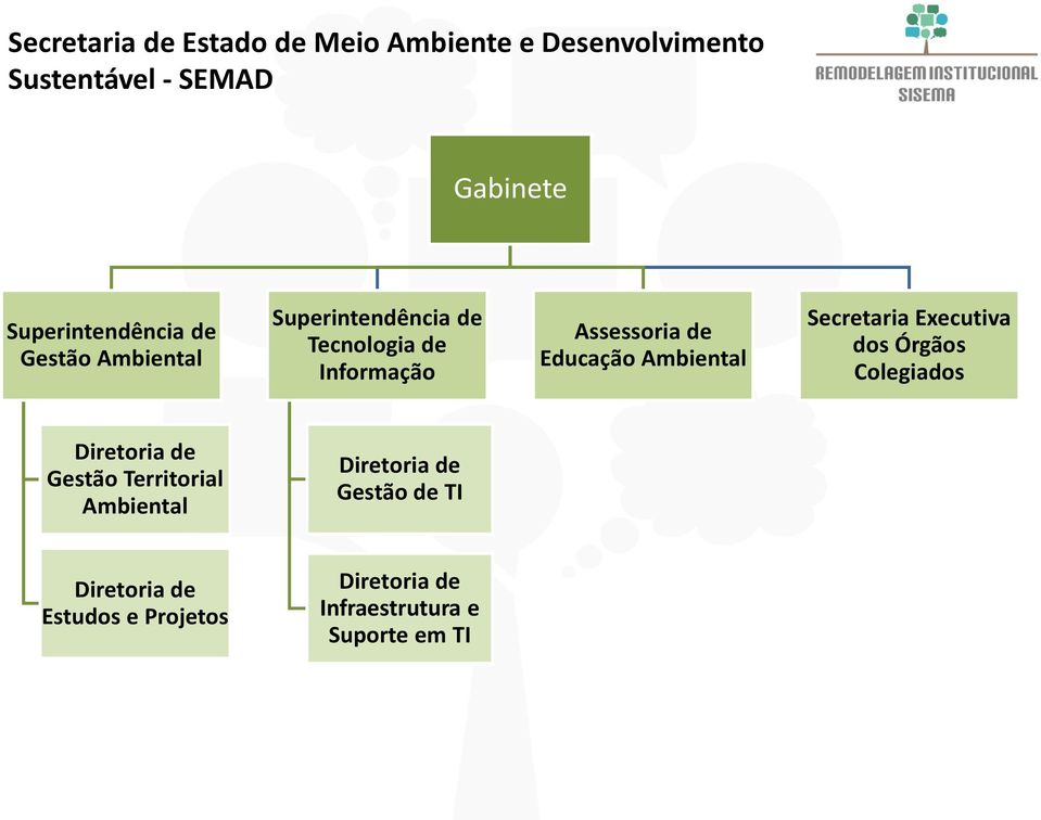 dos Órgãos Colegiados Gestão Territorial