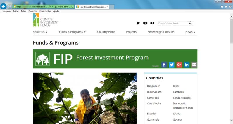 Fundos de Investimentos Climáticos (CIF) Programa de Investimento Florestal (FIP) Plano de Investimento Brasil (BIP): Projeto CAR-FIP