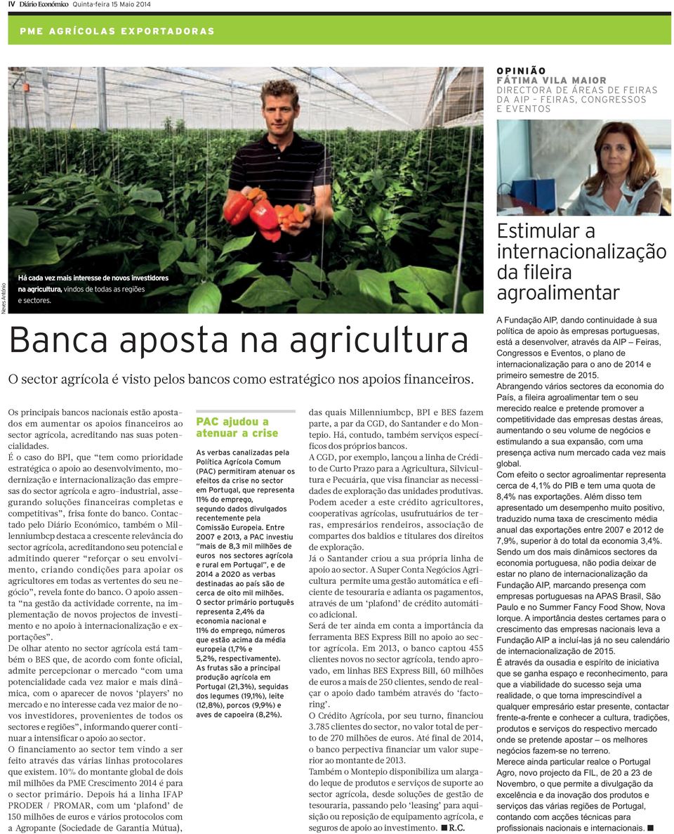 Os principais bancos nacionais estão apostados em aumentar os apoios financeiros ao sector agrícola, acreditando nas suas potencialidades.