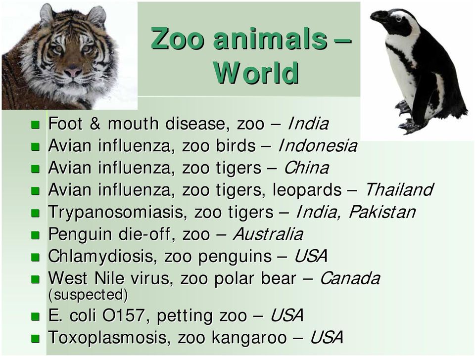 tigers India, Pakistan Penguin die-off off, zoo Australia Chlamydiosis, zoo penguins USA West