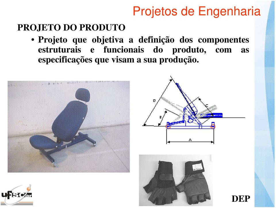 componentes estruturais e funcionais do