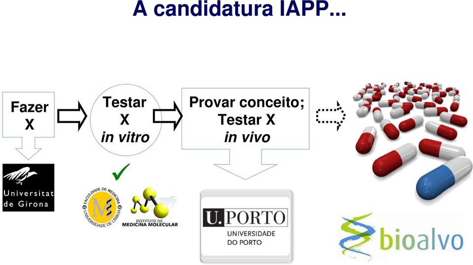 vitro Provar