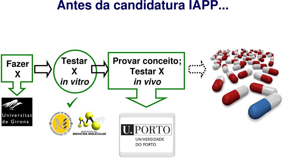 in vitro Provar