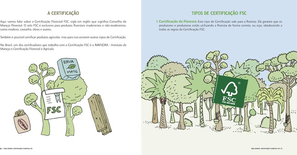 Certificação da Floresta: Este tipo de Certificação vale para a floresta.