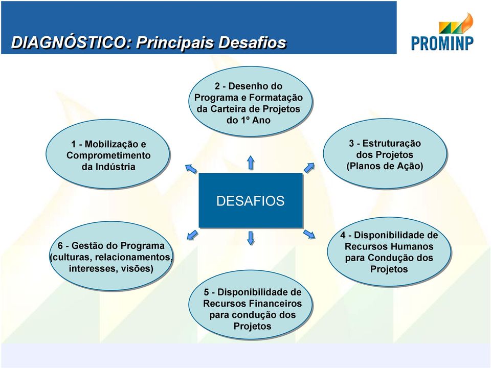 6 - Gestão do Programa (culturas, relacionamentos, interesses, visões) 4 - Disponibilidade de Recursos