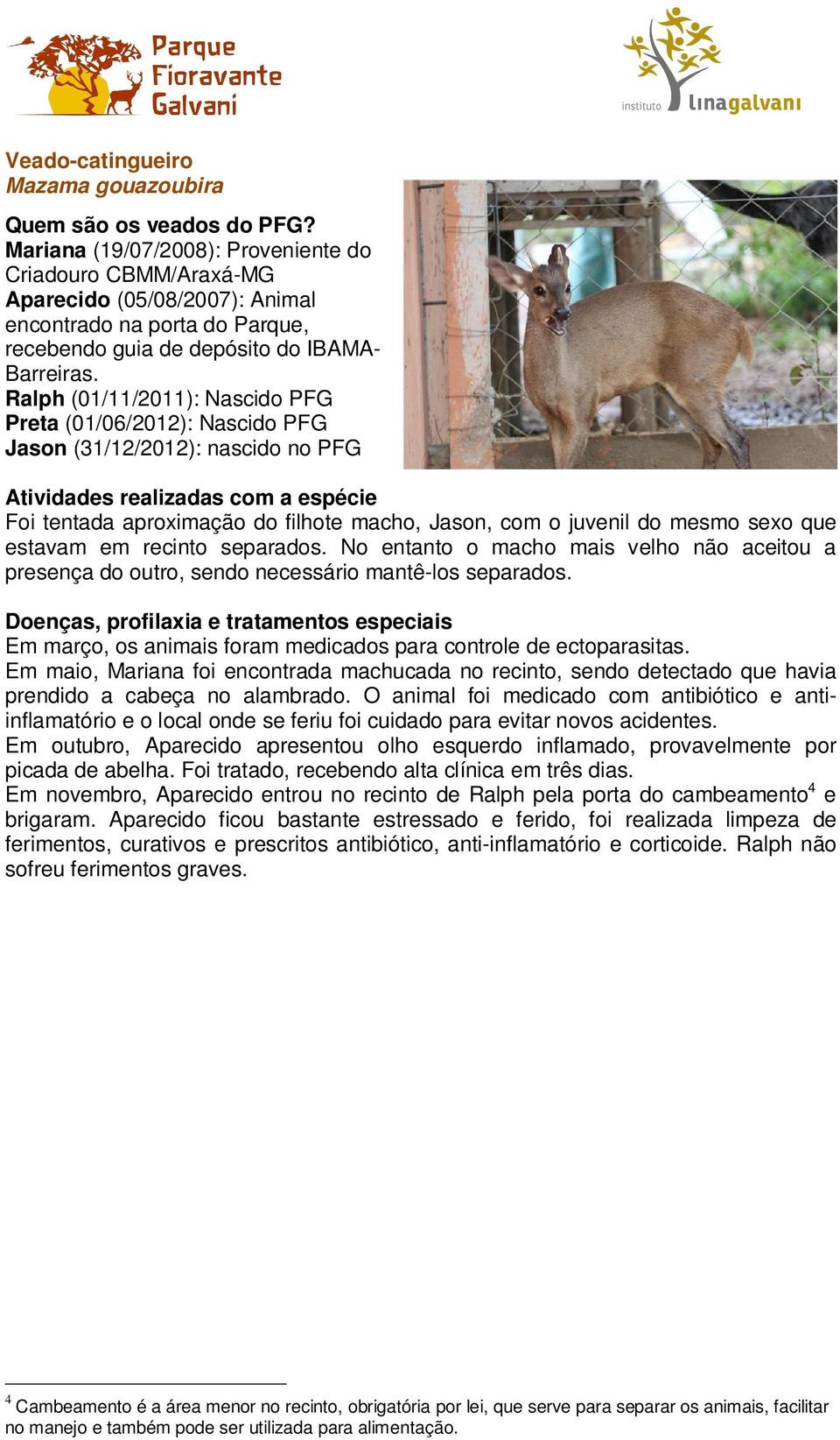 Ralph (01/11/2011): Nascido PFG Preta (01/06/2012): Nascido PFG Jason (31/12/2012): nascido no PFG Atividades realizadas com a espécie Foi tentada aproximação do filhote macho, Jason, com o juvenil