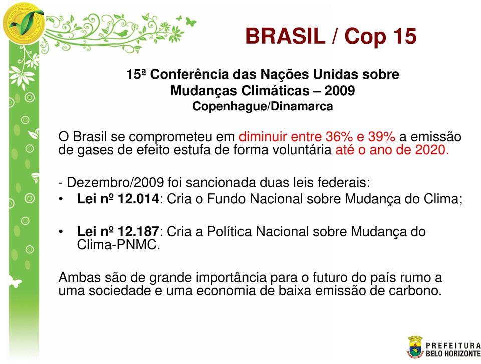 - Dezembro/2009 foi sancionada duas leis federais: Lei nº 12.014: Cria o Fundo Nacional sobre Mudança do Clima; Lei nº 12.