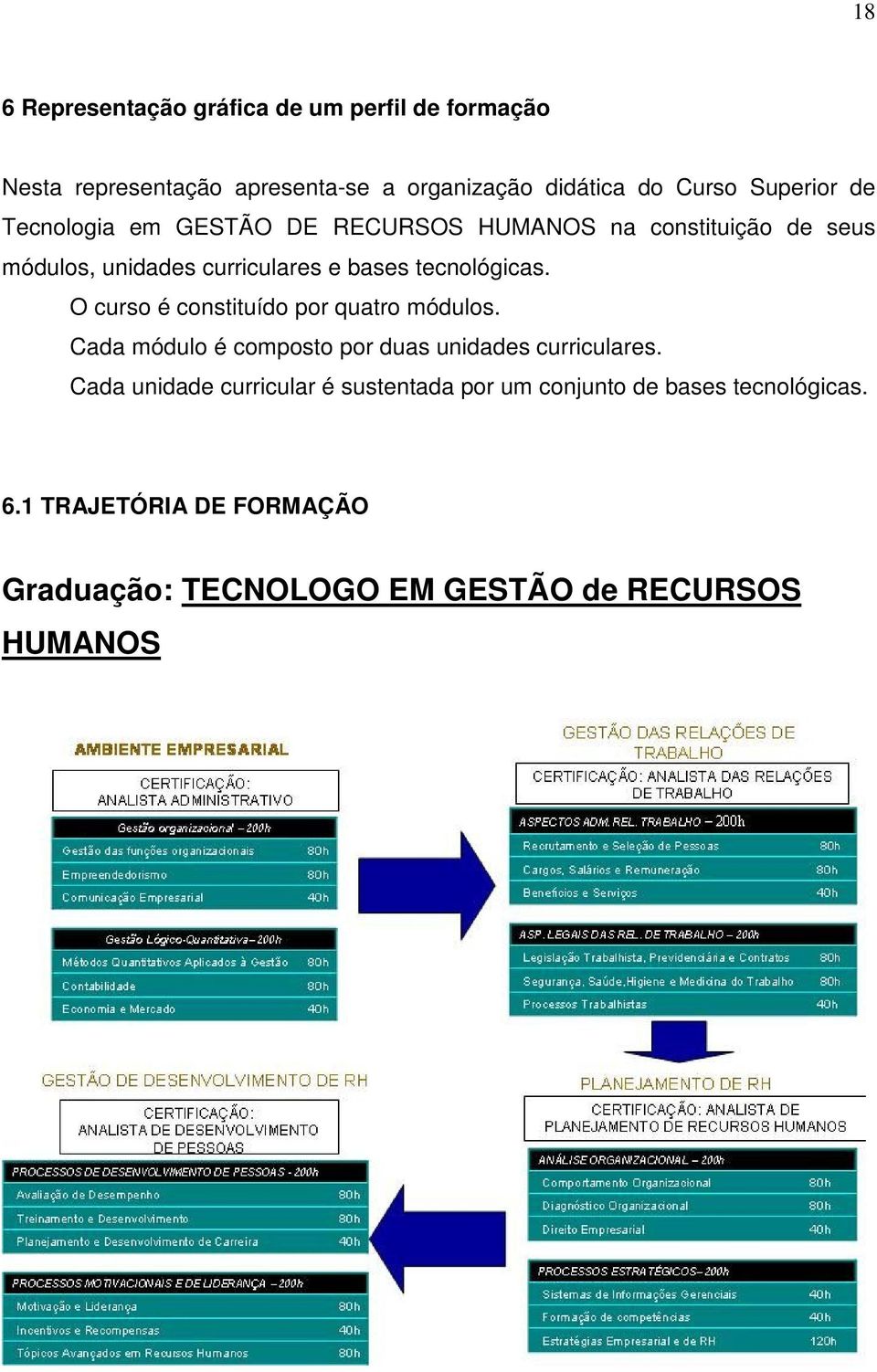 tecnológicas. O curso é constituído por quatro módulos. Cada módulo é composto por duas unidades curriculares.