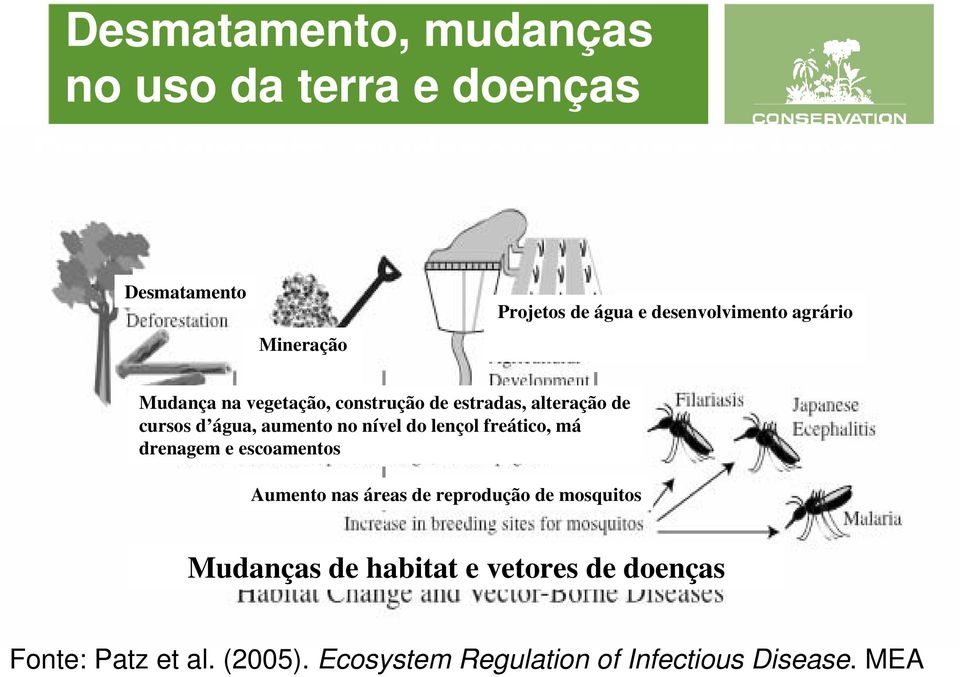 nível do lençol freático, má drenagem e escoamentos Aumento nas áreas de reprodução de mosquitos Mudanças de habitat e vetores