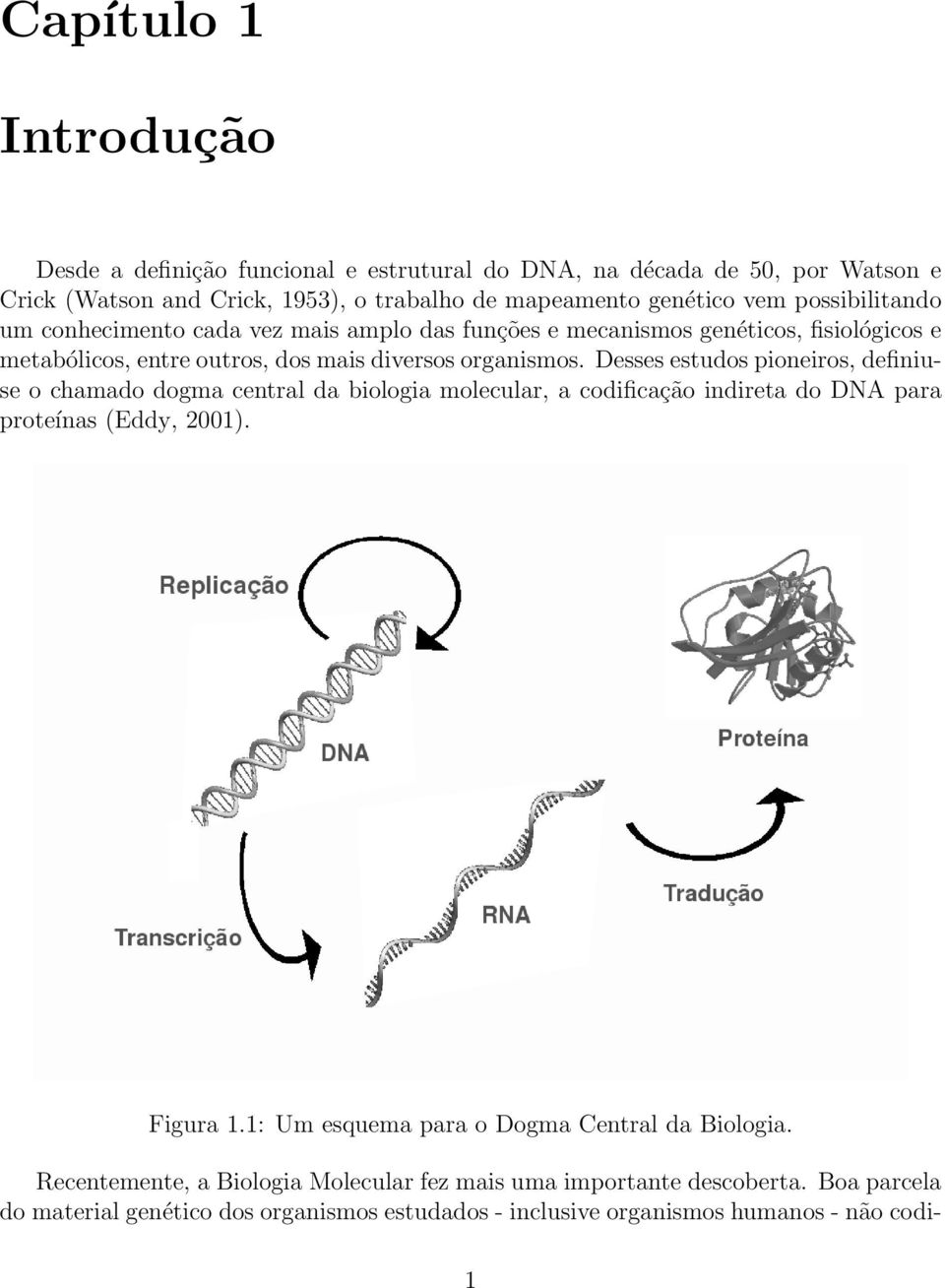 Desses estudos pioneiros, definiuse o chamado dogma central da biologia molecular, a codificação indireta do DNA para proteínas (Eddy, 2001). Figura 1.