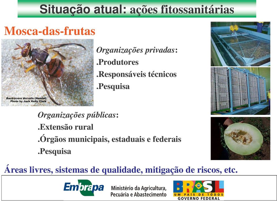 pesquisa Organizações públicas:.extensão rural.