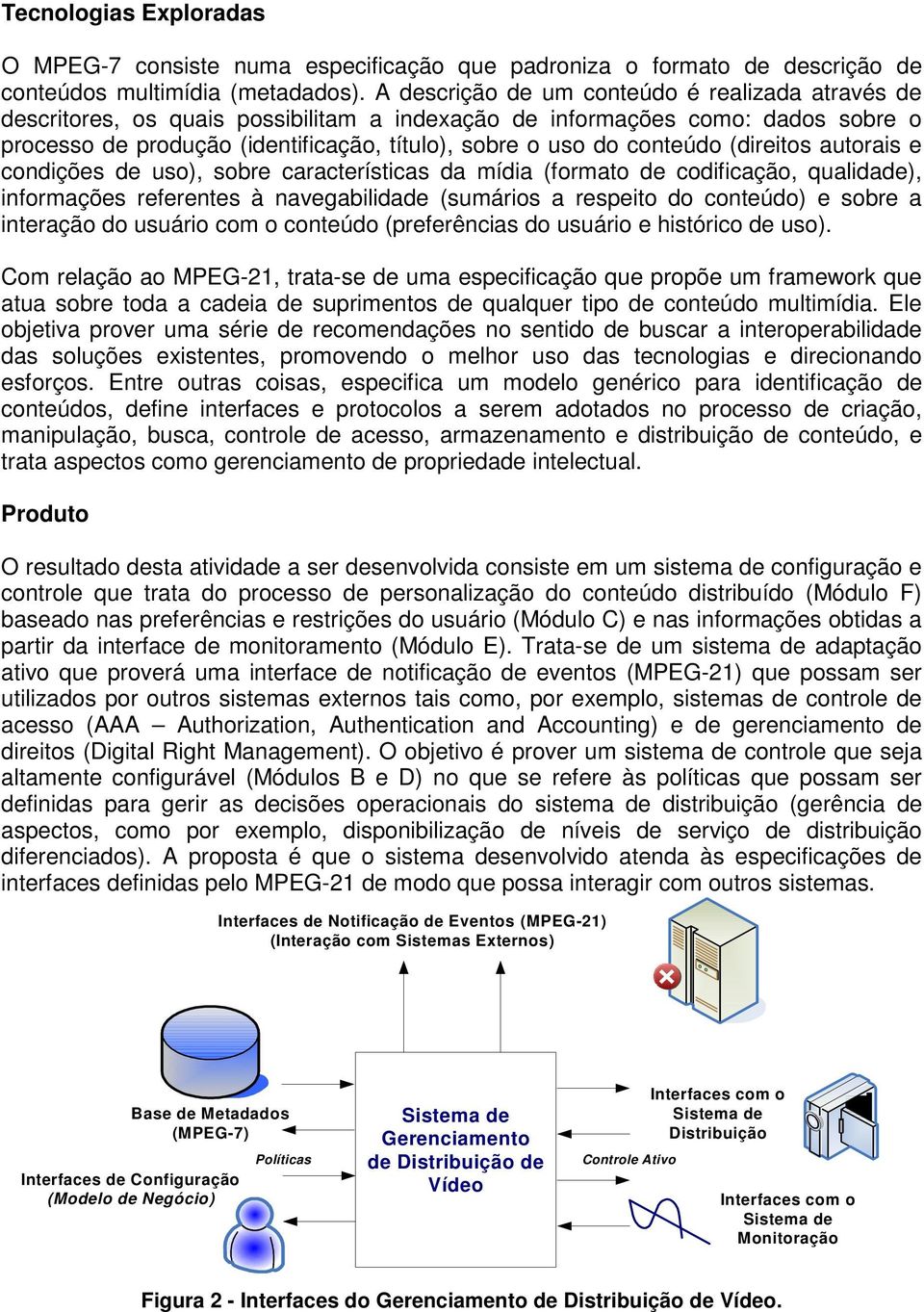 conteúdo (direitos autorais e condições de uso), sobre características da mídia (formato de codificação, qualidade), informações referentes à navegabilidade (sumários a respeito do conteúdo) e sobre