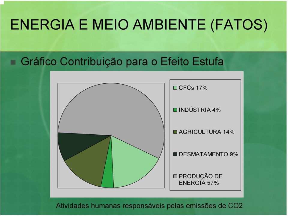 INDÚSTRIA 4% AGRICULTURA 14% DESMATAMENTO 9%