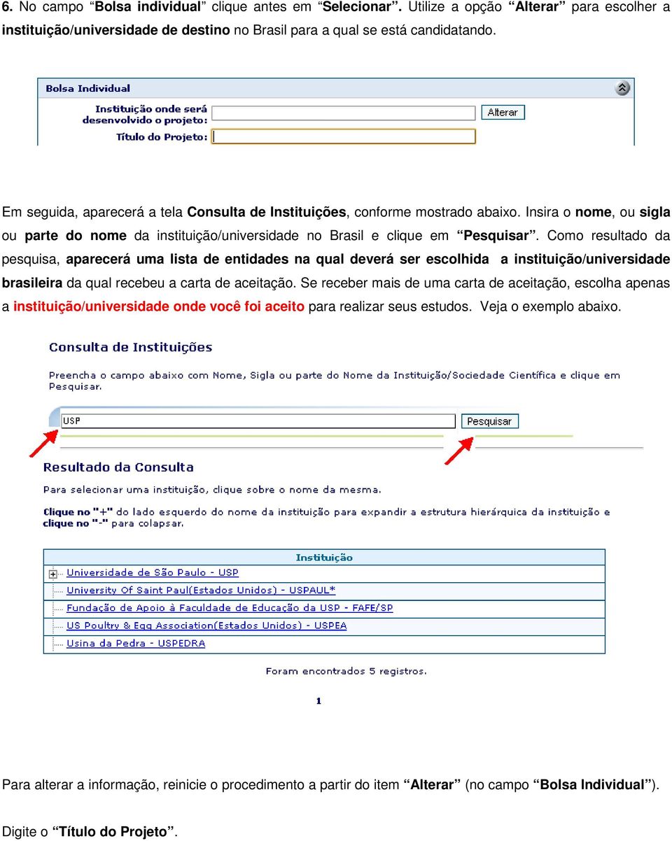 Como resultado da pesquisa, aparecerá uma lista de entidades na qual deverá ser escolhida a instituição/universidade brasileira da qual recebeu a carta de aceitação.