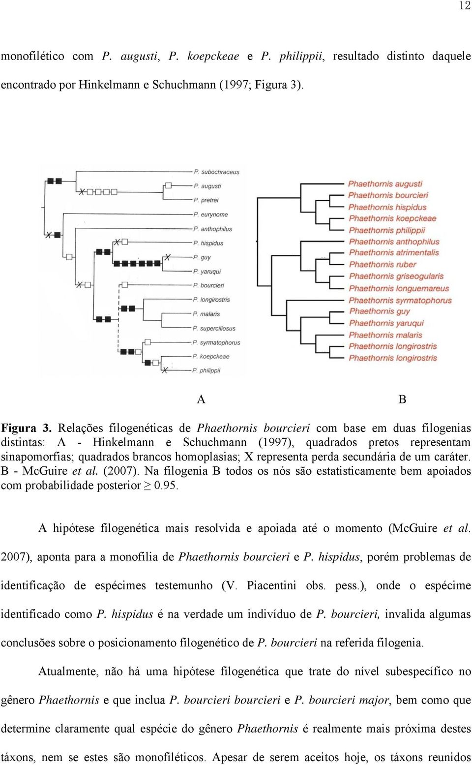 representa perda secundária de um caráter. B - McGuire et al. (2007). Na filogenia B todos os nós são estatisticamente bem apoiados com probabilidade posterior 0.95.