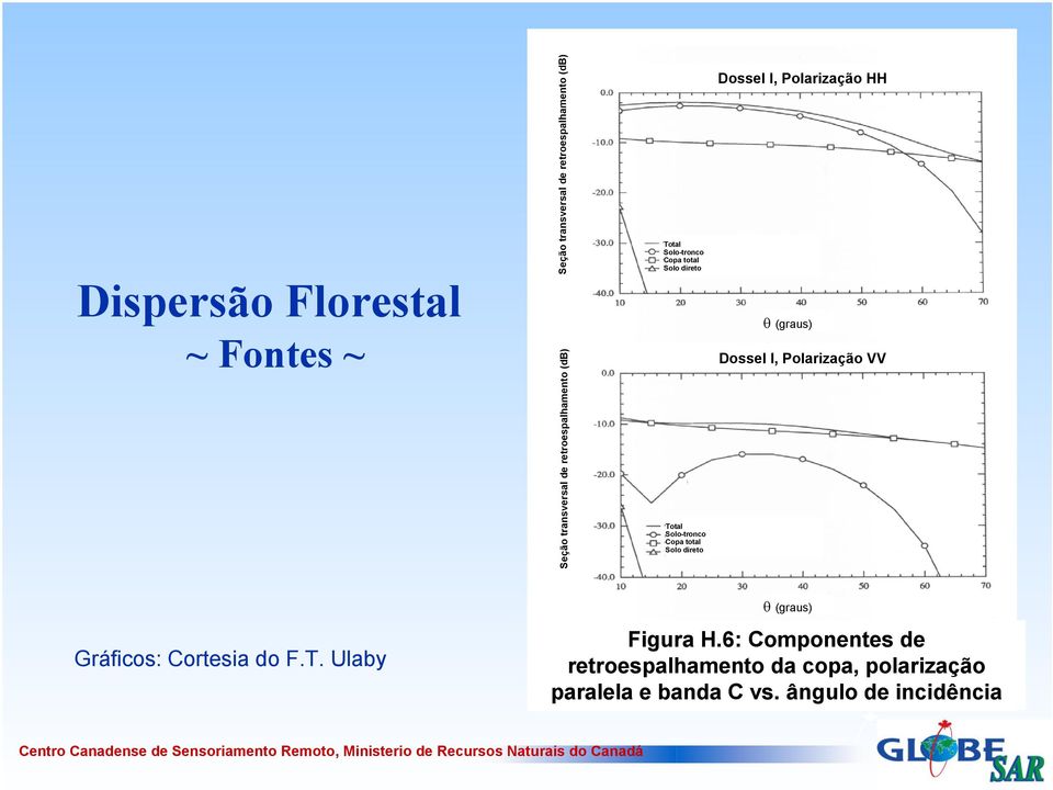 direto Dossel I, Polarização HH (graus) Dossel I, Polarização VV Gráficos: Cortesia do F.T.