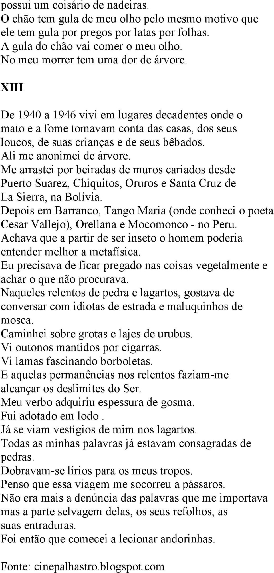 Ali me anonimei de árvore. Me arrastei por beiradas de muros cariados desde Puerto Suarez, Chiquitos, Oruros e Santa Cruz de La Sierra, na Bolívia.