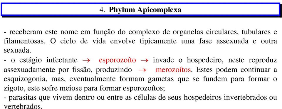 - o estágio infectante esporozoíto invade o hospedeiro, neste reproduz assexuadamente por fissão, produzindo merozoítos.