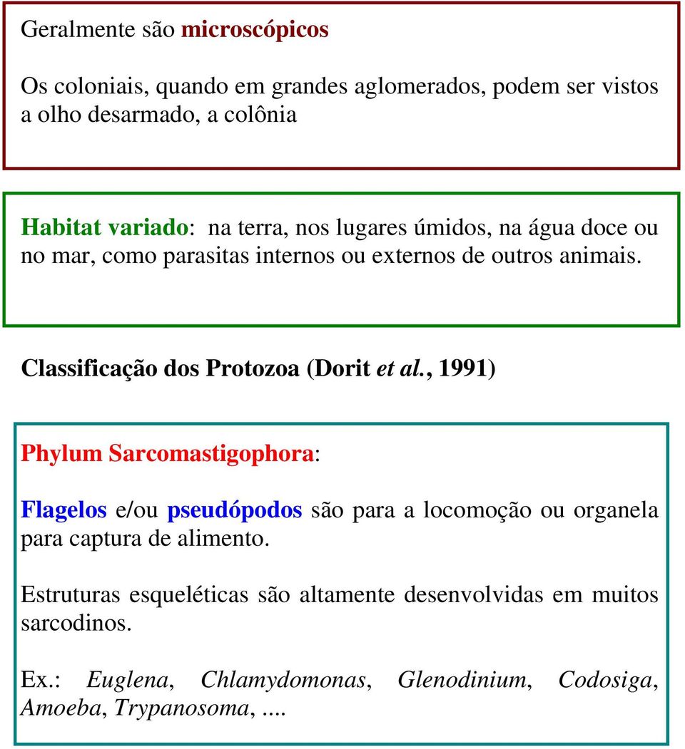 Classificação dos Protozoa (Dorit et al.