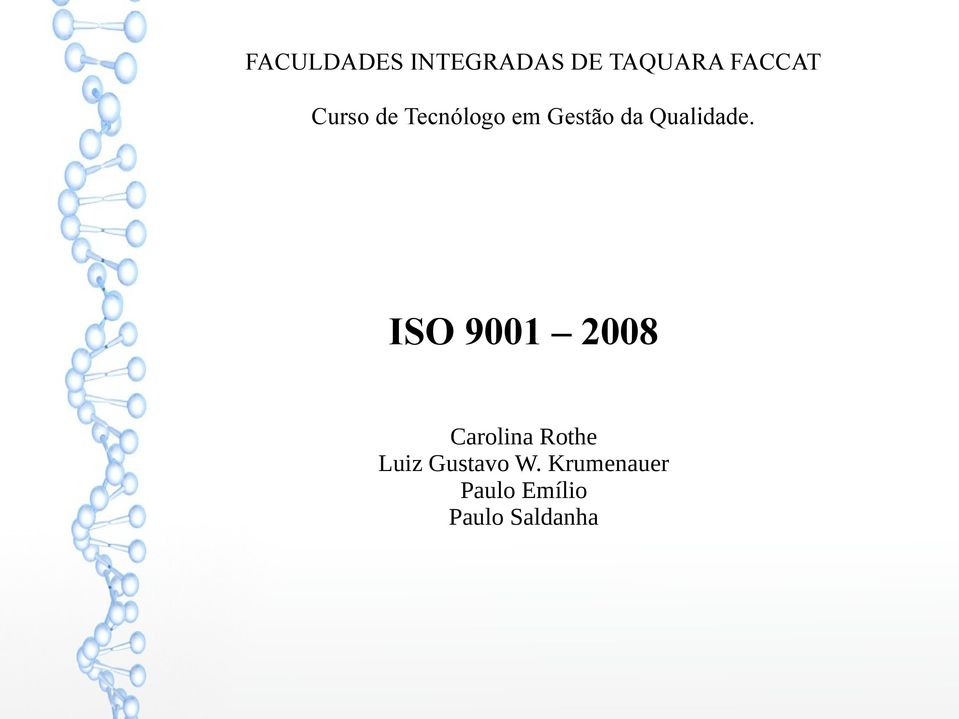 ISO 9001 2008 Carolina Rothe Luiz Gustavo