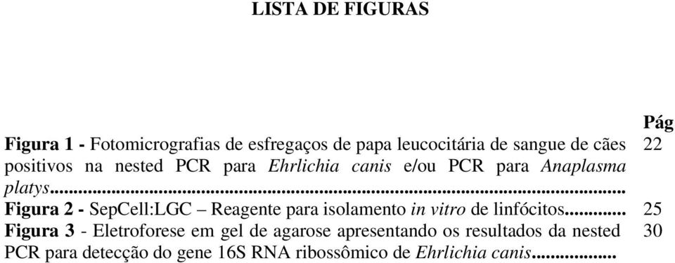 .. Figura 2 - SepCell:LGC Reagente para isolamento in vitro de linfócitos.