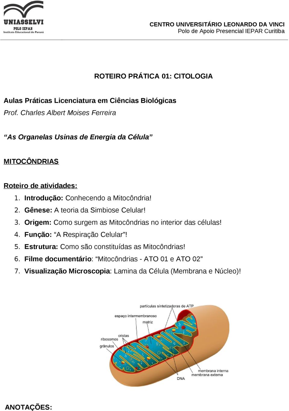 Introdução: Conhecendo a Mitocôndria! 2. Gênese: A teoria da Simbiose Celular! 3.