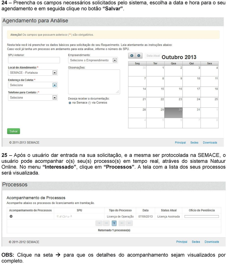 25 Após o usuário dar entrada na sua solicitação, e a mesma ser protocolada na SEMACE, o usuário pode acompanhar o(s) seu(s)