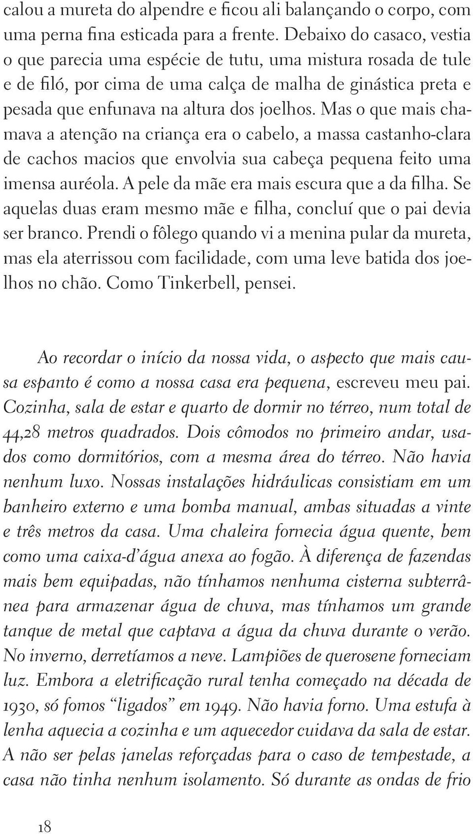 Mas o que mais chamava a atenção na criança era o cabelo, a massa castanho clara de cachos macios que envolvia sua cabeça pequena feito uma imensa auréola.