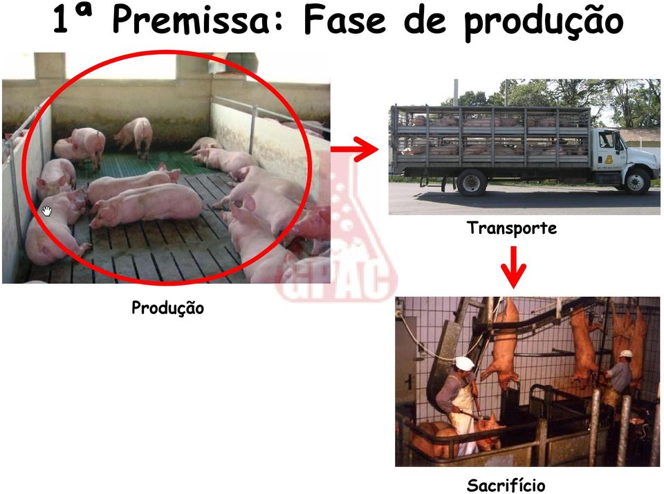 produção