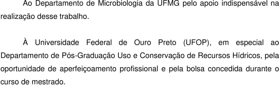 À Universidade Federal de Ouro Preto (UFOP), em especial ao Departamento de