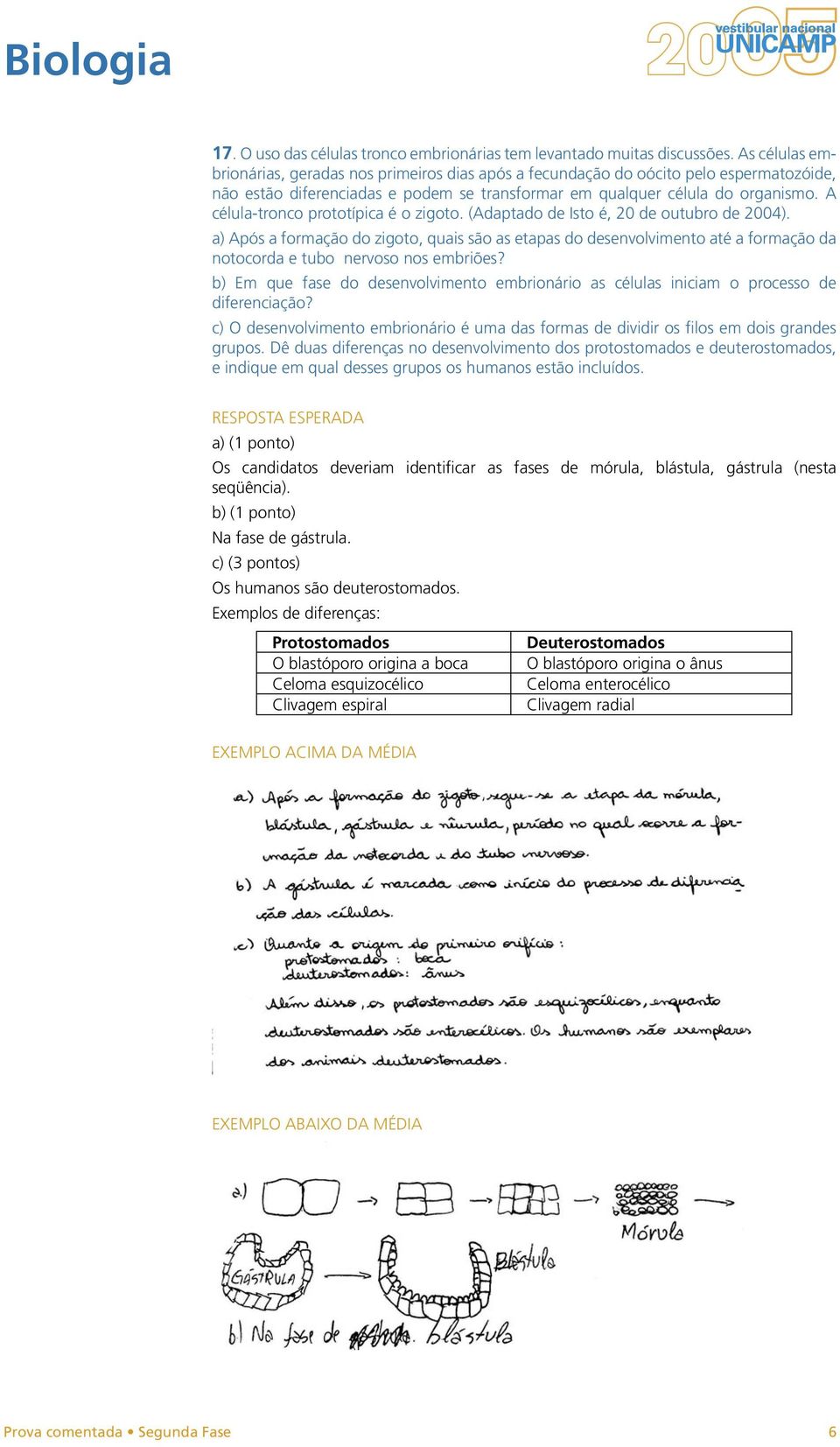 A célula-tronco prototípica é o zigoto. (Adaptado de Isto é, 20 de outubro de 2004).