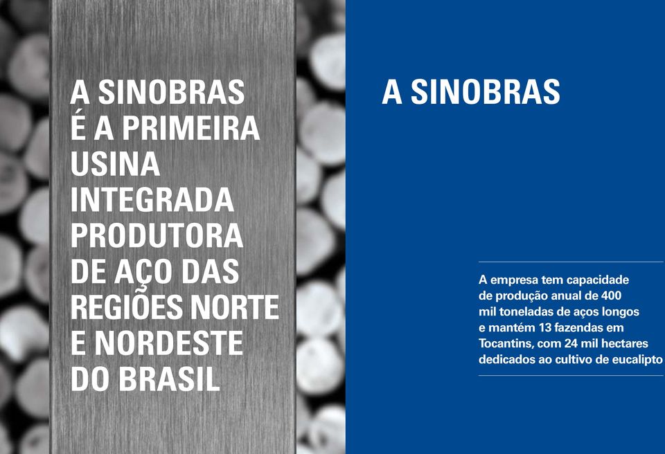 produção anual de 400 mil toneladas de aços longos e mantém 13