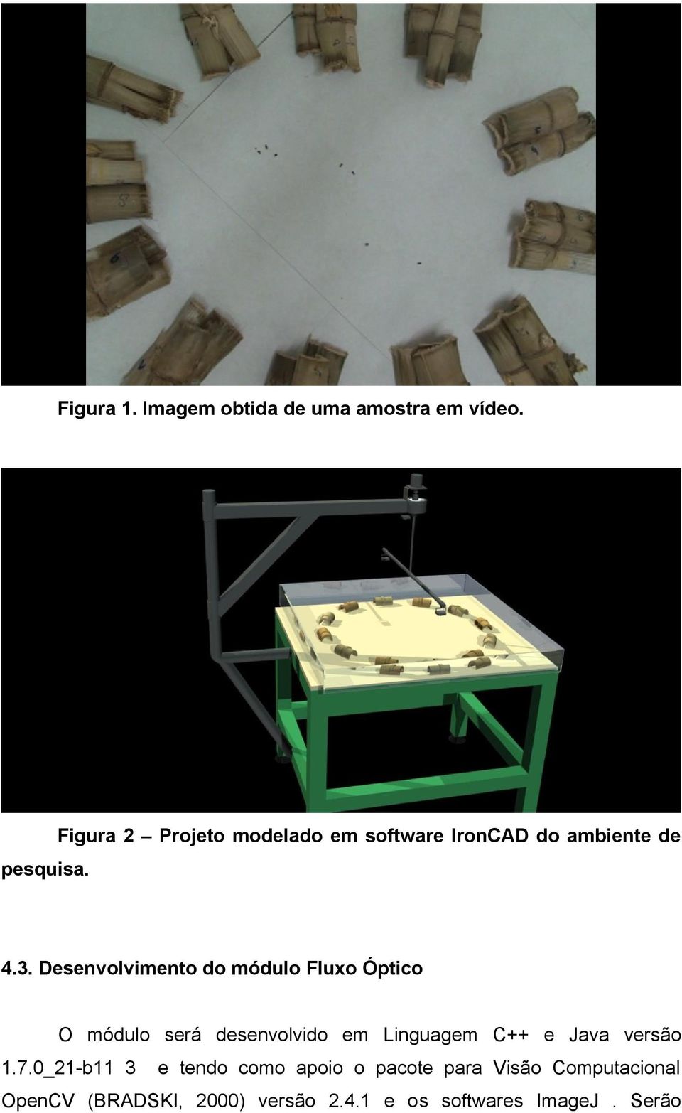 Desenvolvimento do módulo Fluxo Óptico O módulo será desenvolvido em Linguagem C++ e