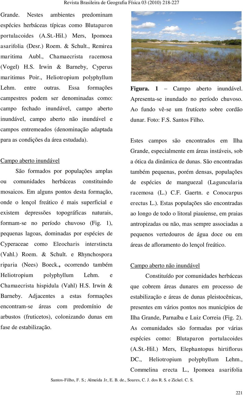 Essa formações campestres podem ser denominadas como: campo fechado inundável, campo aberto inundável, campo aberto não inundável e campos entremeados (denominação adaptada para as condições da área