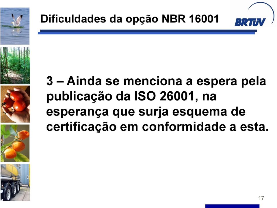 ISO 26001, na esperança que surja