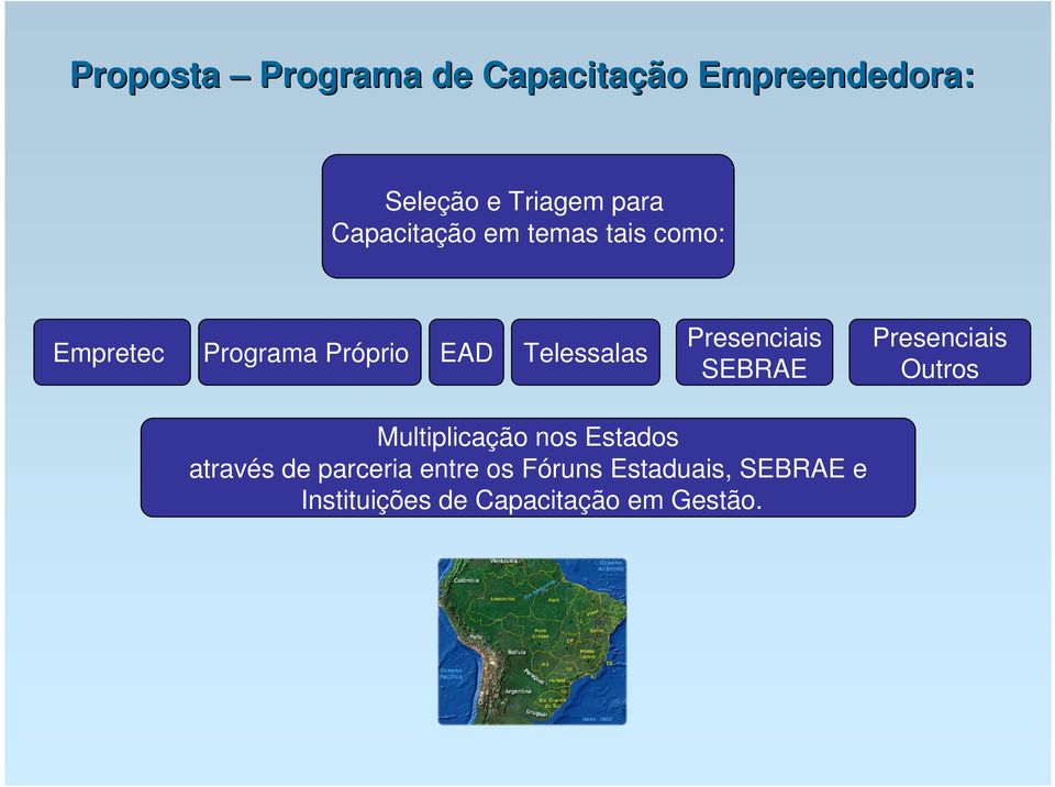 Presenciais SEBRAE Presenciais Outros Multiplicação nos Estados através de