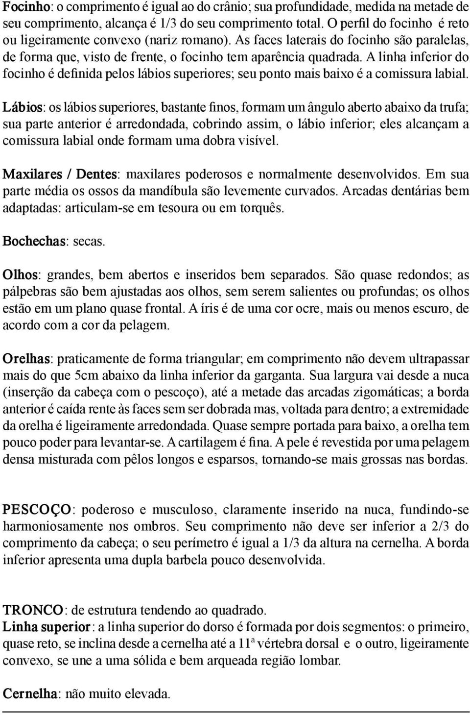 A linha inferior do focinho é definida pelos lábios superiores; seu ponto mais baixo é a comissura labial.