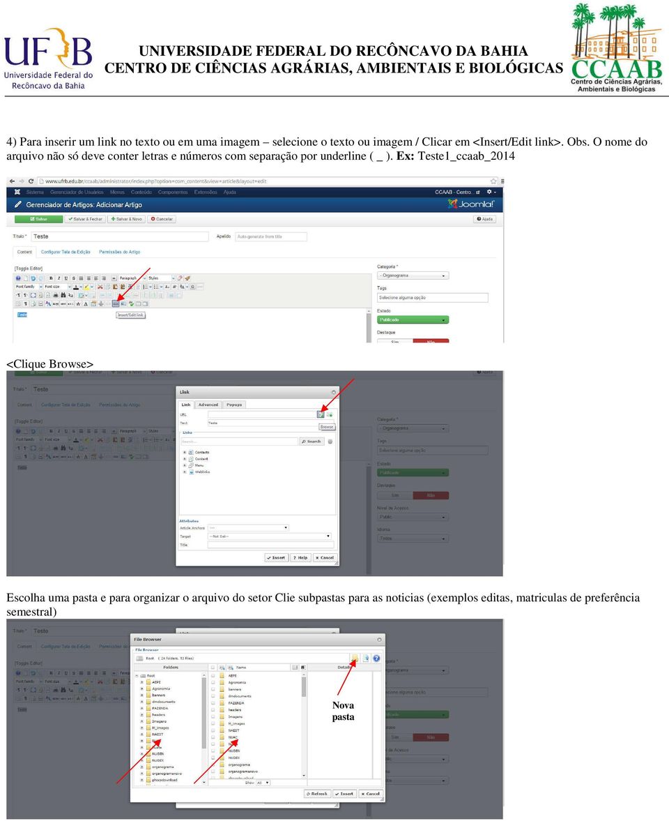 O nome do arquivo não só deve conter letras e números com separação por underline ( _ ).