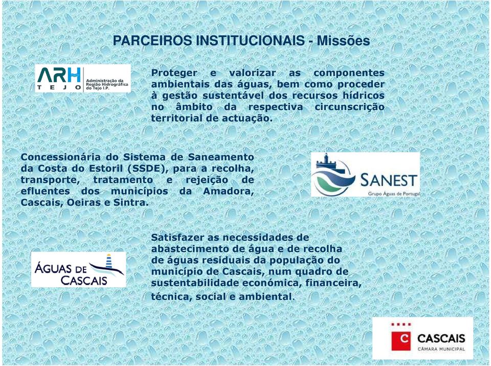 Concessionária do Sistema de Saneamento da Costa do Estoril (SSDE), para a recolha, transporte, tratamento e rejeição de efluentes dos municípios da