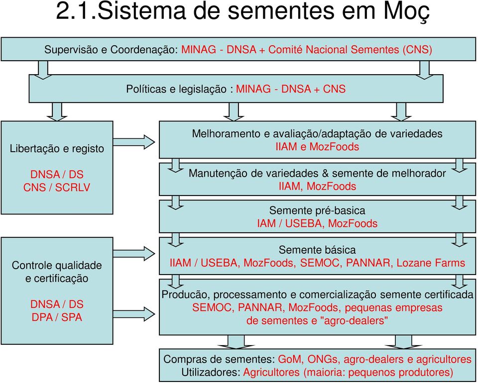 Controle qualidade e certificação DNSA / DS DPA / SPA Semente básica IIAM / USEBA, MozFoods, SEMOC, PANNAR, Lozane Farms Producão, processamento e comercialização semente certificada