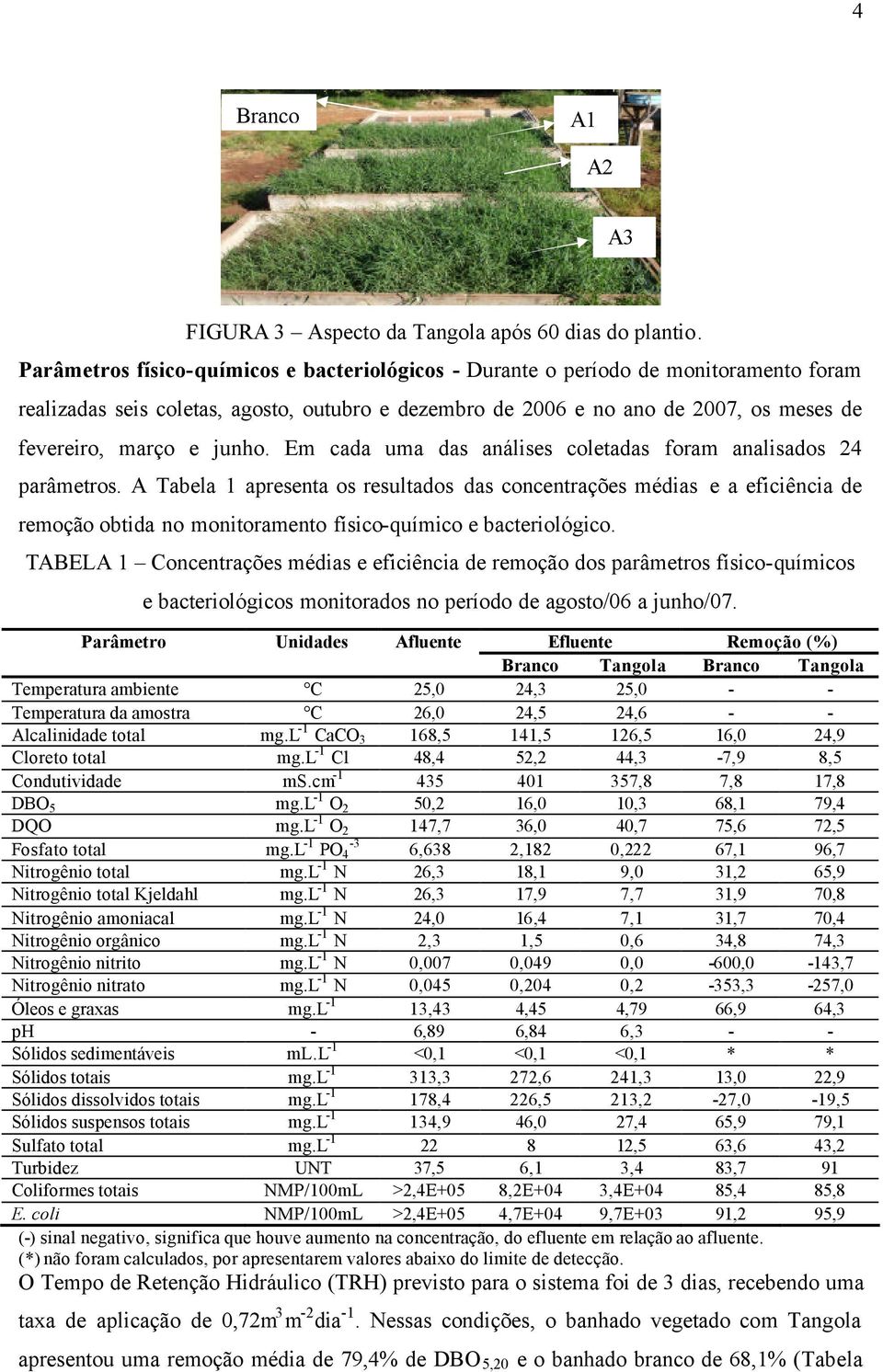 junho. Em cada uma das análises coletadas foram analisados 24 parâmetros.