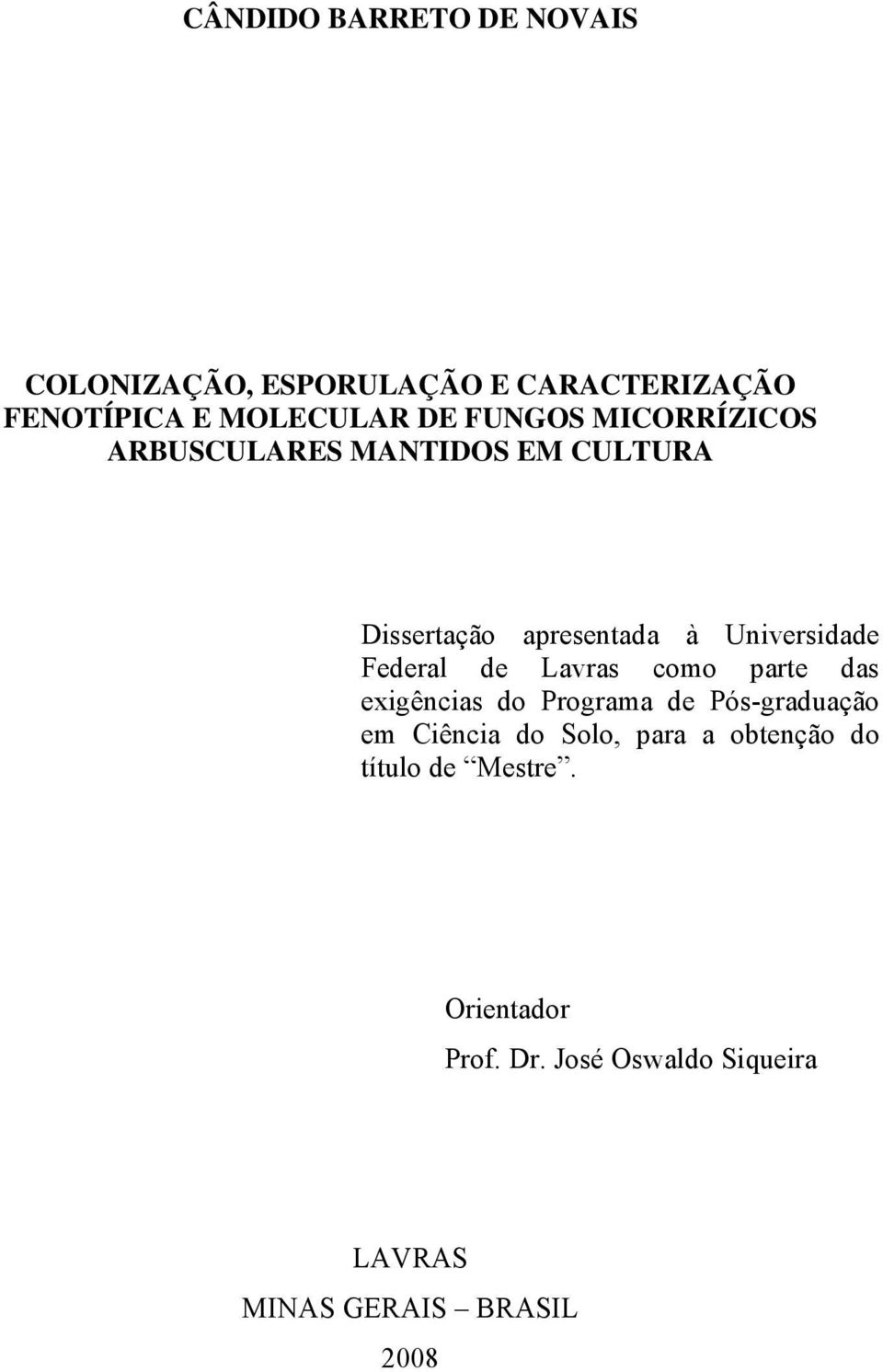 Federal de Lavras como parte das exigências do Programa de Pós-graduação em Ciência do Solo, para