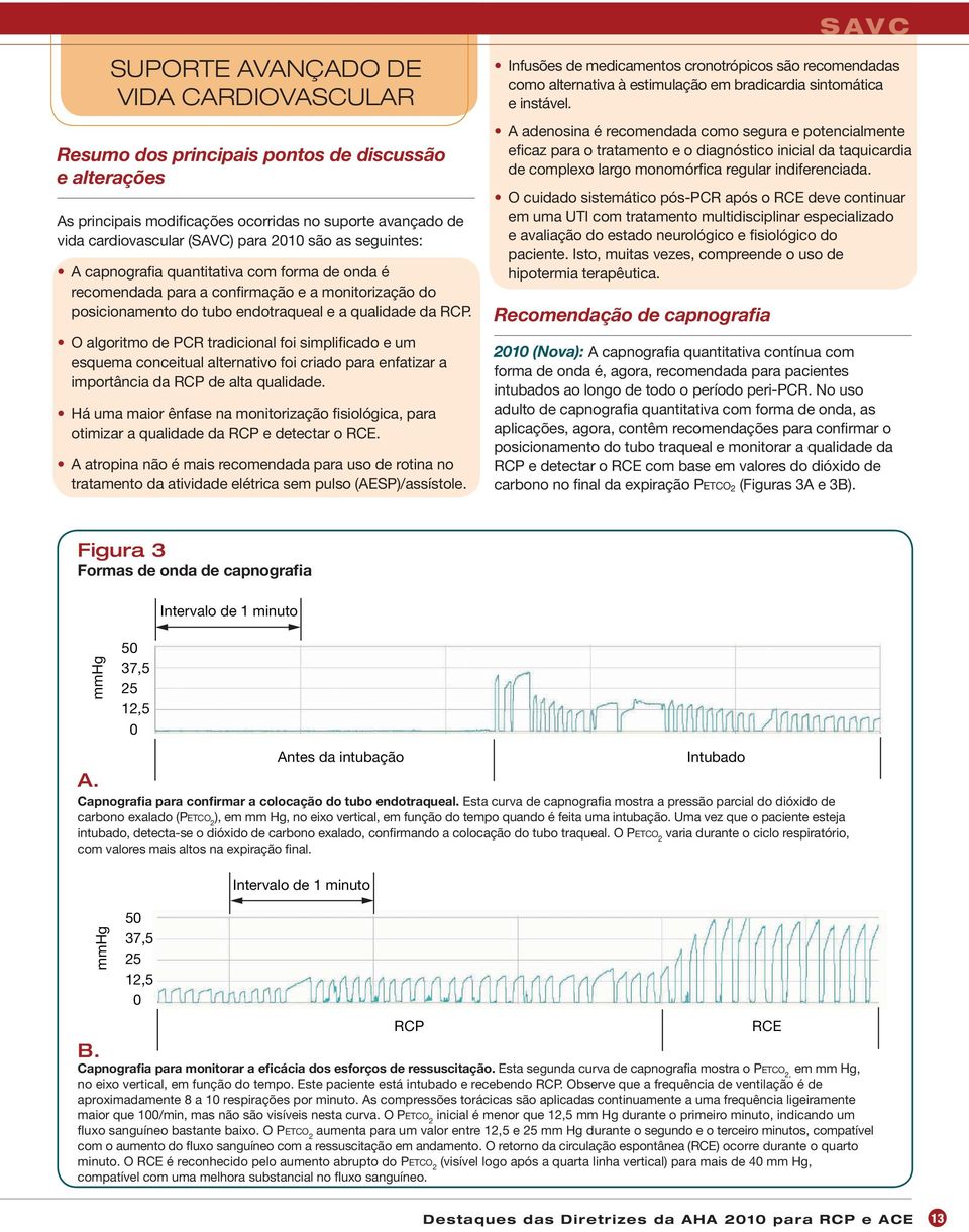 O algoritmo de PCR tradicional foi simplificado e um esquema conceitual alternativo foi criado para enfatizar a importância da RCP de alta qualidade.