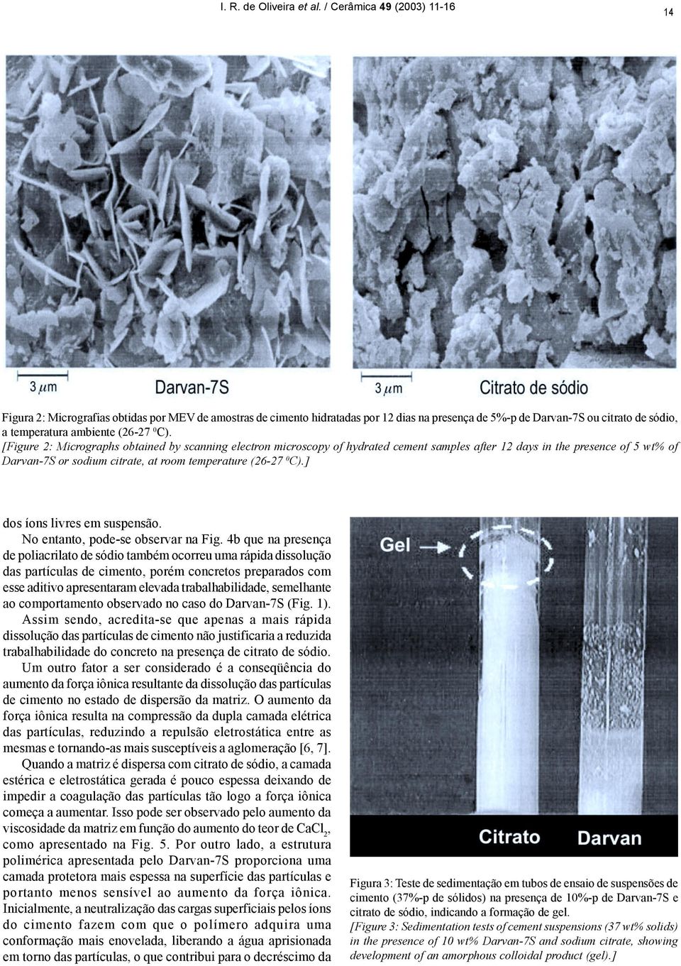 0 C). [Figure 2: Micrographs obtained by scanning electron microscopy of hydrated cement samples after 12 days in the presence of 5 wt% of Darvan-7S or sodium citrate, at room temperature (26-27 0 C).