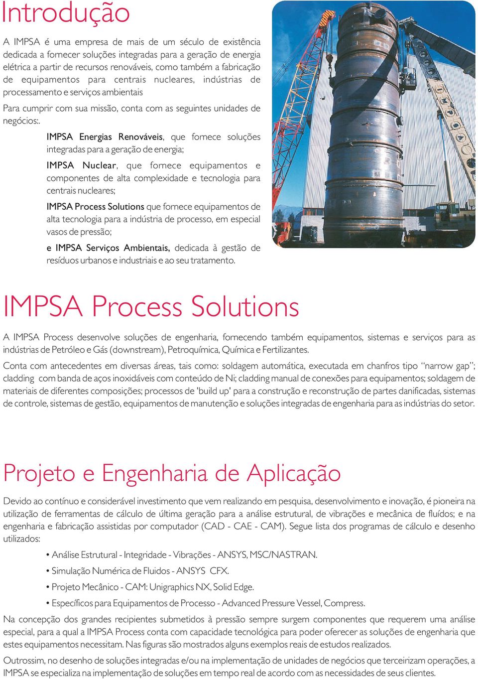 IMPSA Energias Renováveis, que fornece soluções integradas para a geração de energia; IMPSA Nuclear, que fornece equipamentos e componentes de alta complexidade e tecnologia para centrais nucleares;